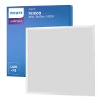Philips Panneau LED Ledinaire RC065B 28W 3400lm - 865 Lumière Du Jour | 60x60cm - UGR <19