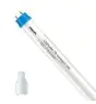Philips Tube LED T8 CorePro (EM/Direct 230V) High Output 8W 900lm - 865 Lumière Du Jour | 60cm - Équivalent 18W