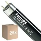 Lot 25x Philips MASTER TL-D 36W - Blacklight Bleu | 120cm