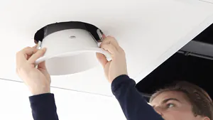 professional at work